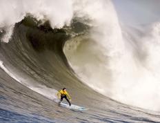 开云官方app入口-迈凯伦王者归来！皮亚斯特里一骑绝尘，红牛王朝遭遇最强挑战