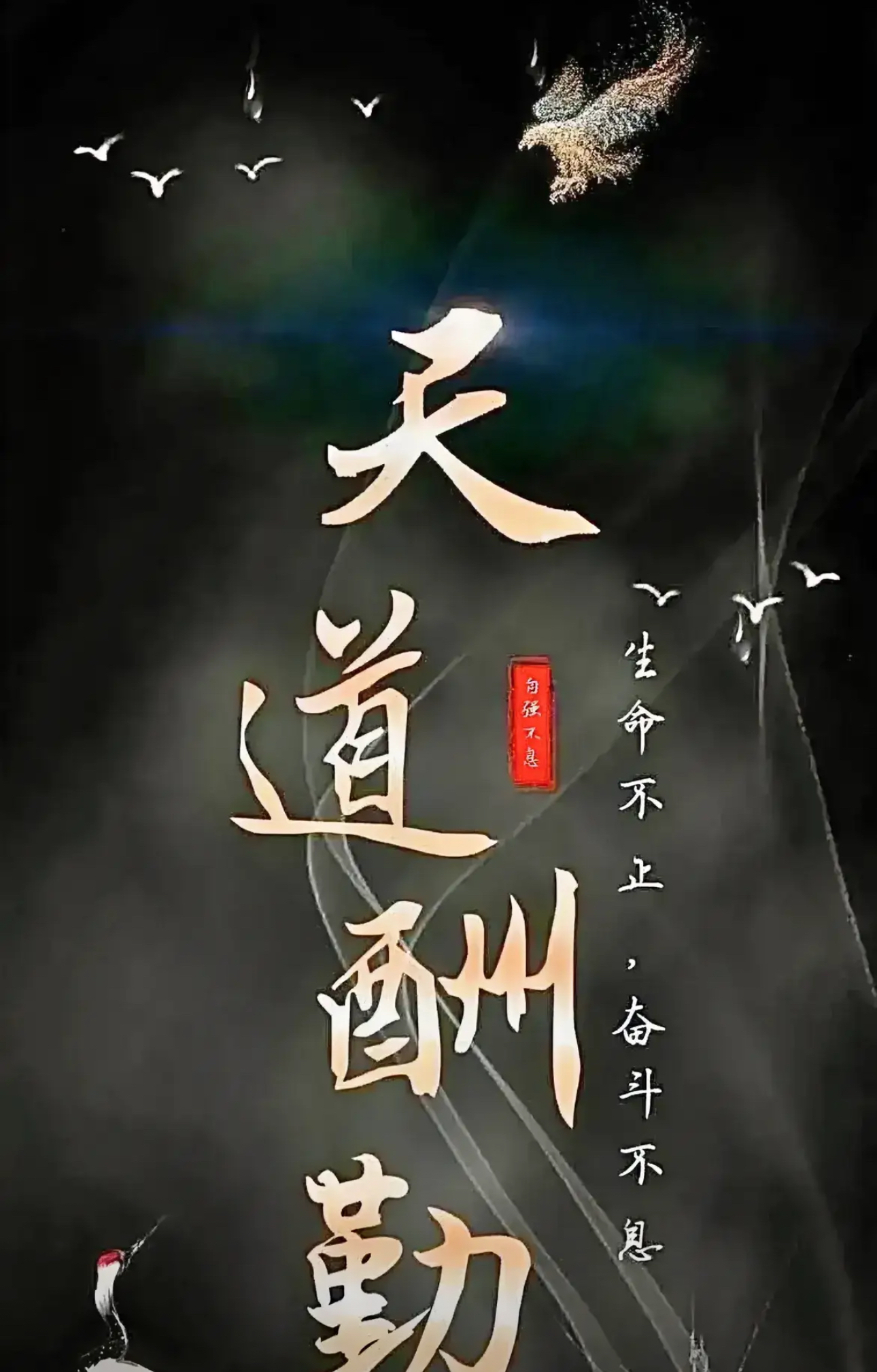 开云APP-太阳一鼓作气，绝地反击扭转败局的简单介绍