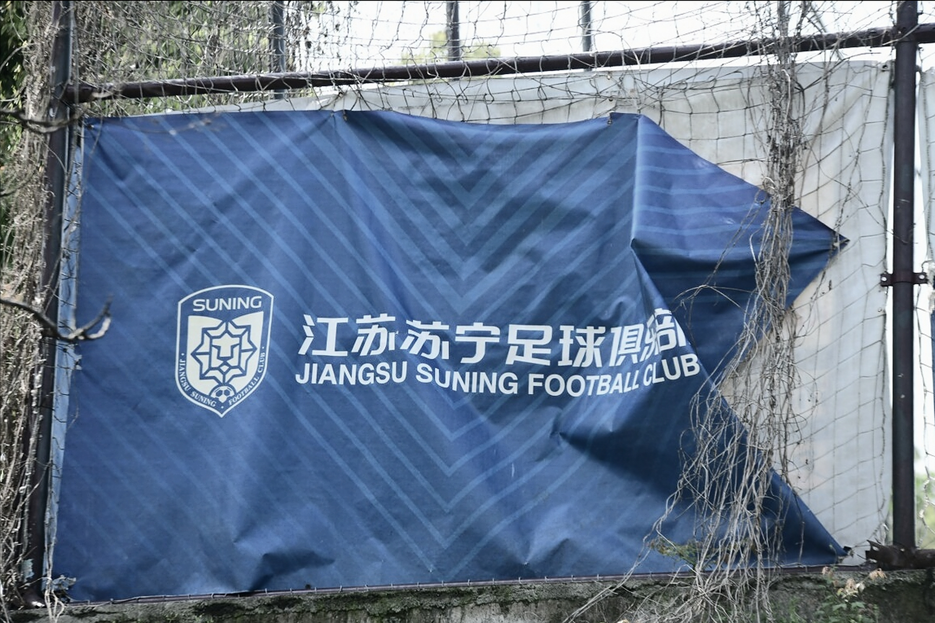 开云APP-江苏苏宁主场击败北京人和，重回胜利轨道的简单介绍